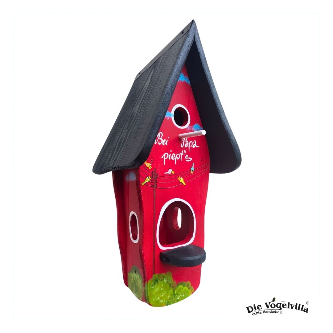 Kombiniertes Vogelhaus - Minivilla 1 „Bei Papa piept’s“