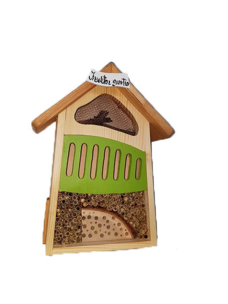 Petits quartiers d'insectes