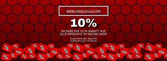 🎉 Nur für kurze Zeit: 10 % Rabatt auf ALLES!