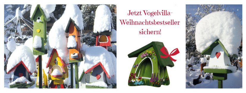 ❄️ Winterzeit ist Futterhaus-Zeit – So helft ihr unseren Gartenvögeln durch die kalte Jahreszeit 🐦🌰