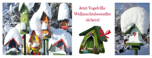 ❄️ Winterzeit ist Futterhaus-Zeit – So helft ihr unseren Gartenvögeln durch die kalte Jahreszeit 🐦🌰