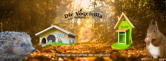🍂 Tierischer Herbst bei der Vogelvilla! 🐿️🦔 10 % Rabatt auf alles – nur bis 26.10.!