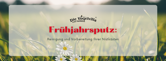 Frühjahrsputz: Reinigung und Vorbereitung Ihrer Nistkästen