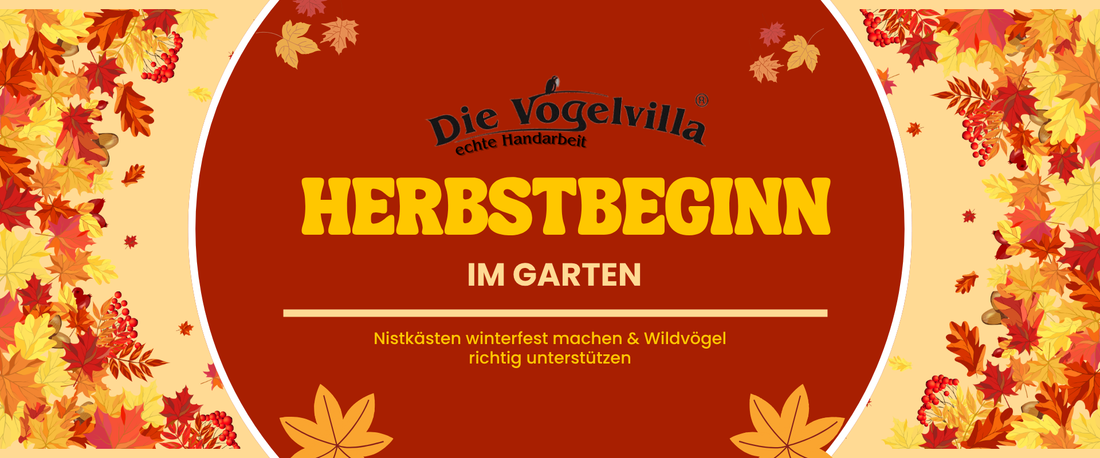 Herbstbeginn im Garten: Nistkästen winterfest machen & Wildvögel richtig unterstützen