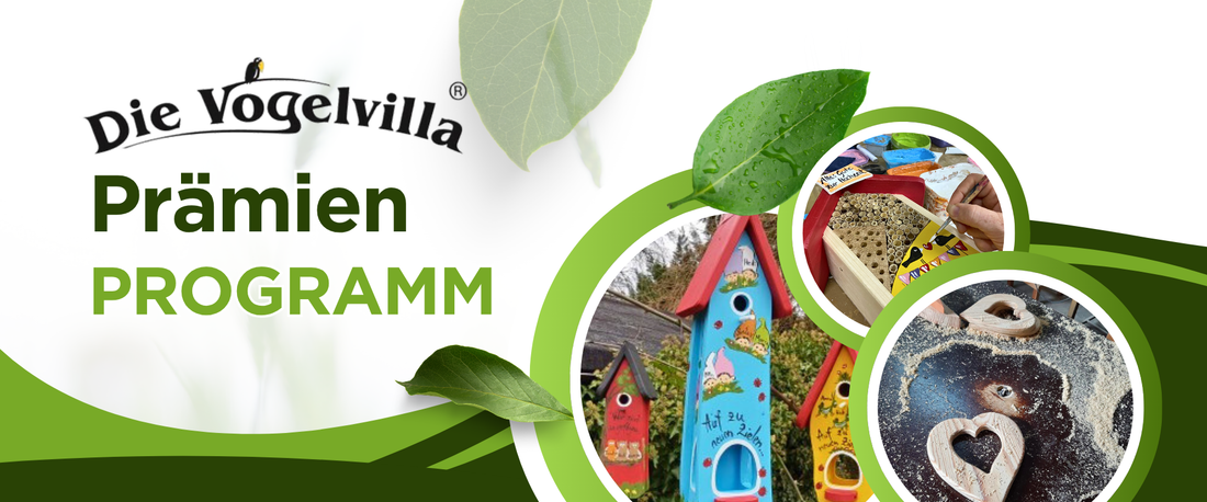 Mehr als nur Danke: Unser neues Treueprogramm ist da!