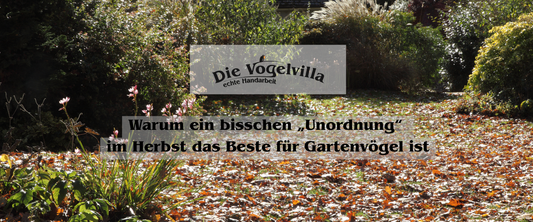 Das kleine Winterparadies: Warum ein bisschen „Unordnung“ im Herbst das Beste für Gartenvögel ist