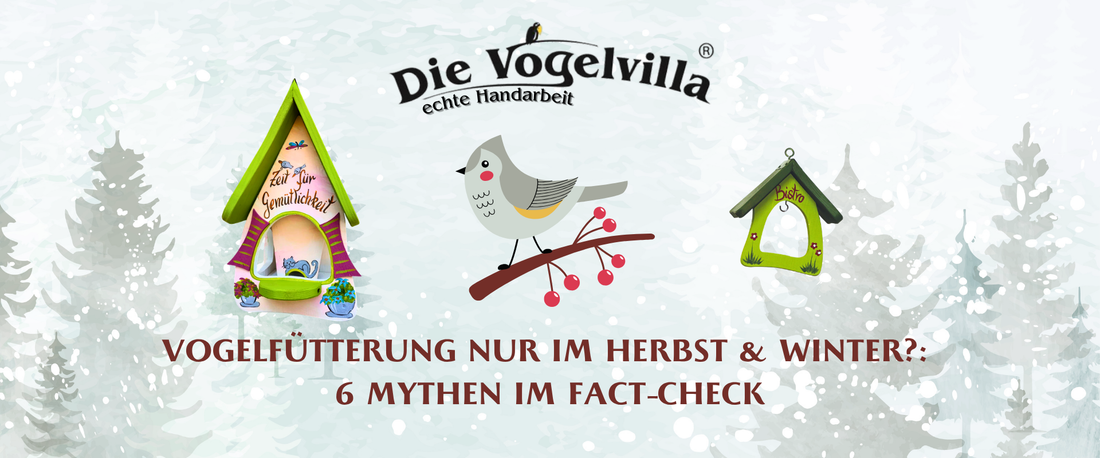 Vogelfütterung nur im Herbst & Winter?: 6 Mythen im Fact-Check