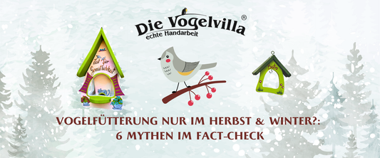 Vogelfütterung nur im Herbst & Winter?: 6 Mythen im Fact-Check