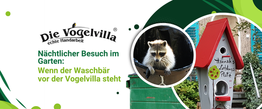 Nächtlicher Besuch im Garten: Wenn der Waschbär vor der Vogelvilla steht