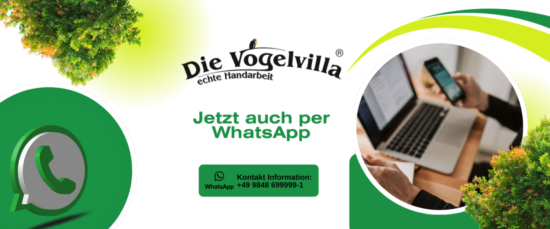 Ab sofort für dich da: Chatte mit uns über WhatsApp!