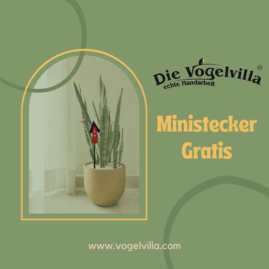 Ein kleines Dankeschön zum Muttertag 💐
