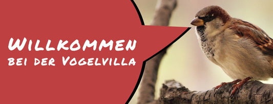 🏡 Wir sind zurück aus der Sommerpause! Wichtige Infos zu Versand & Verlängerung unserer Sommer-Aktion 🐦✨