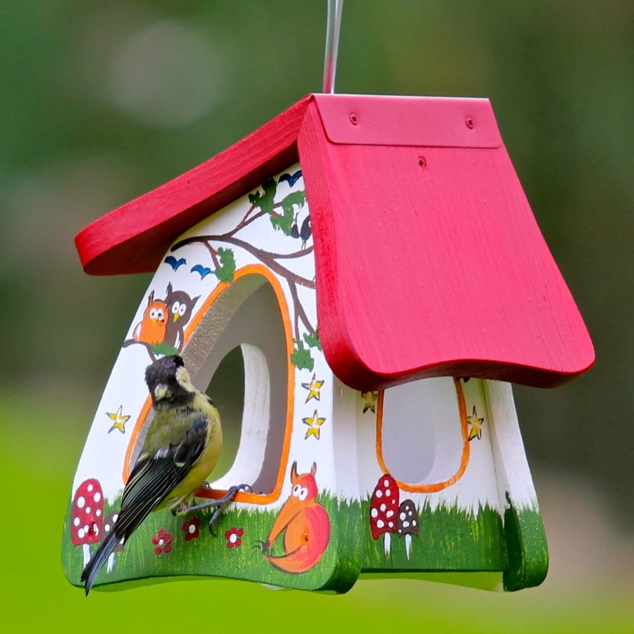 Vogelfutterhaus mit Kohlmeise