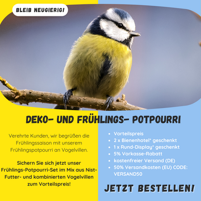 Deko- & Frühlings-Potpourri-Set