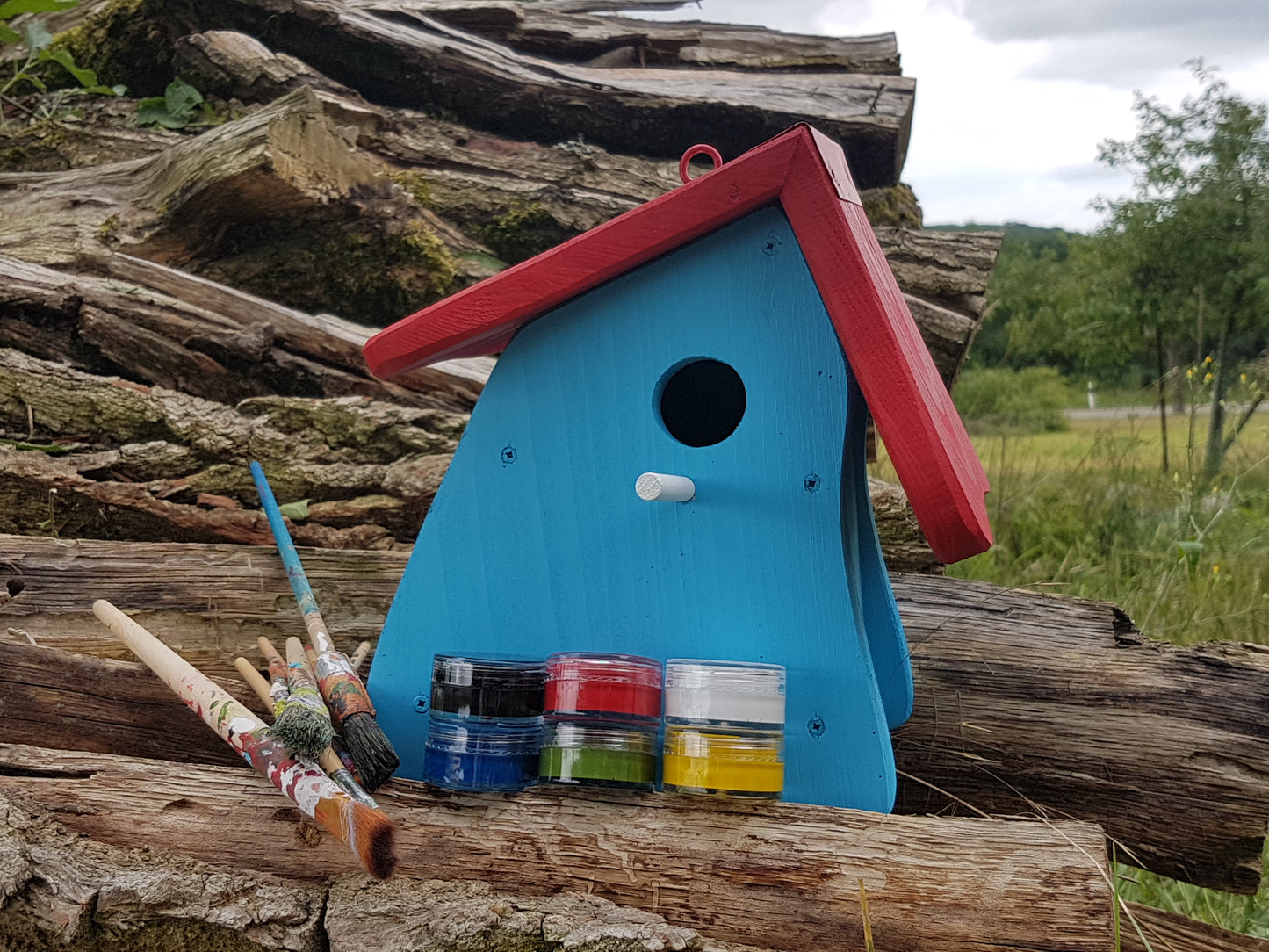 Nistkasten - Nistmini Kreativ mit Farben Pinsel & Edding