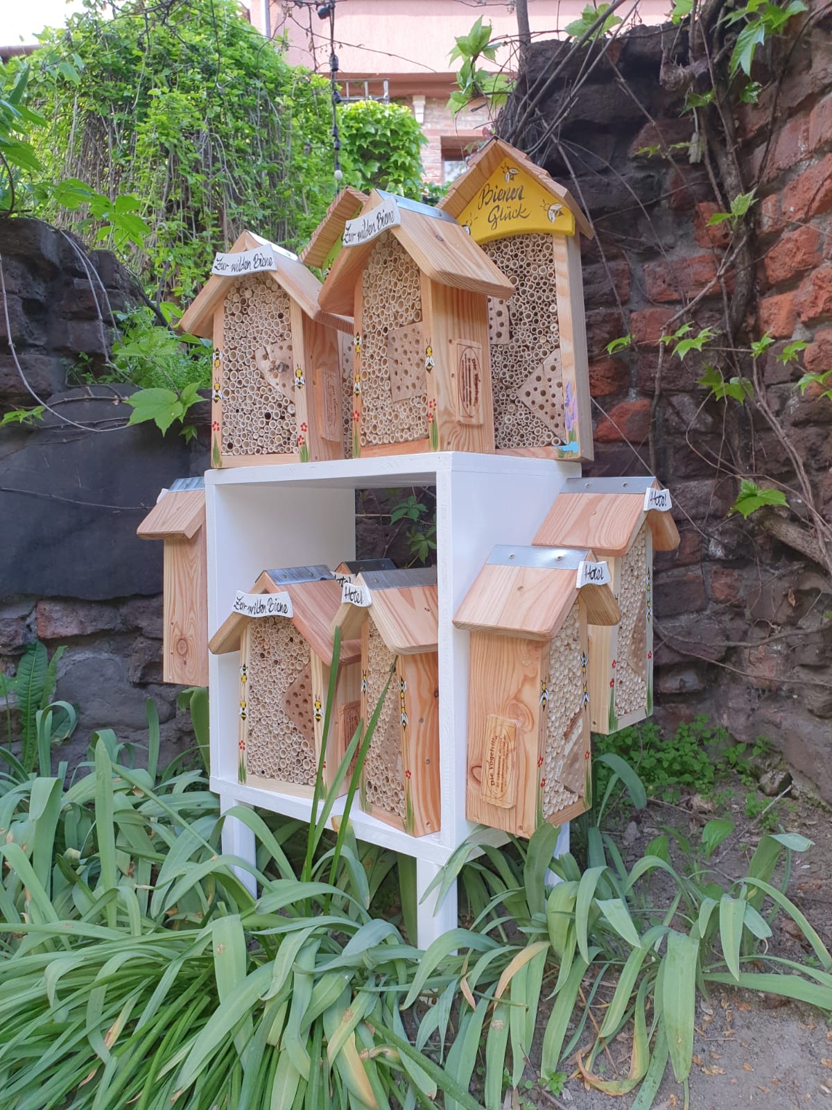 Display Bienen- & Insektenhotels