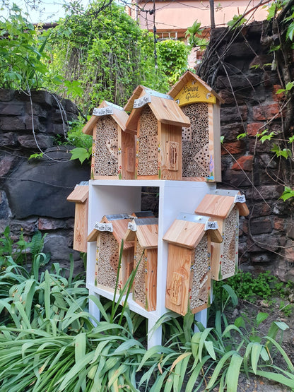 Display Bienen- & Insektenhotels