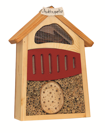 Insektendisplay Variante 3(Ohne Display)
