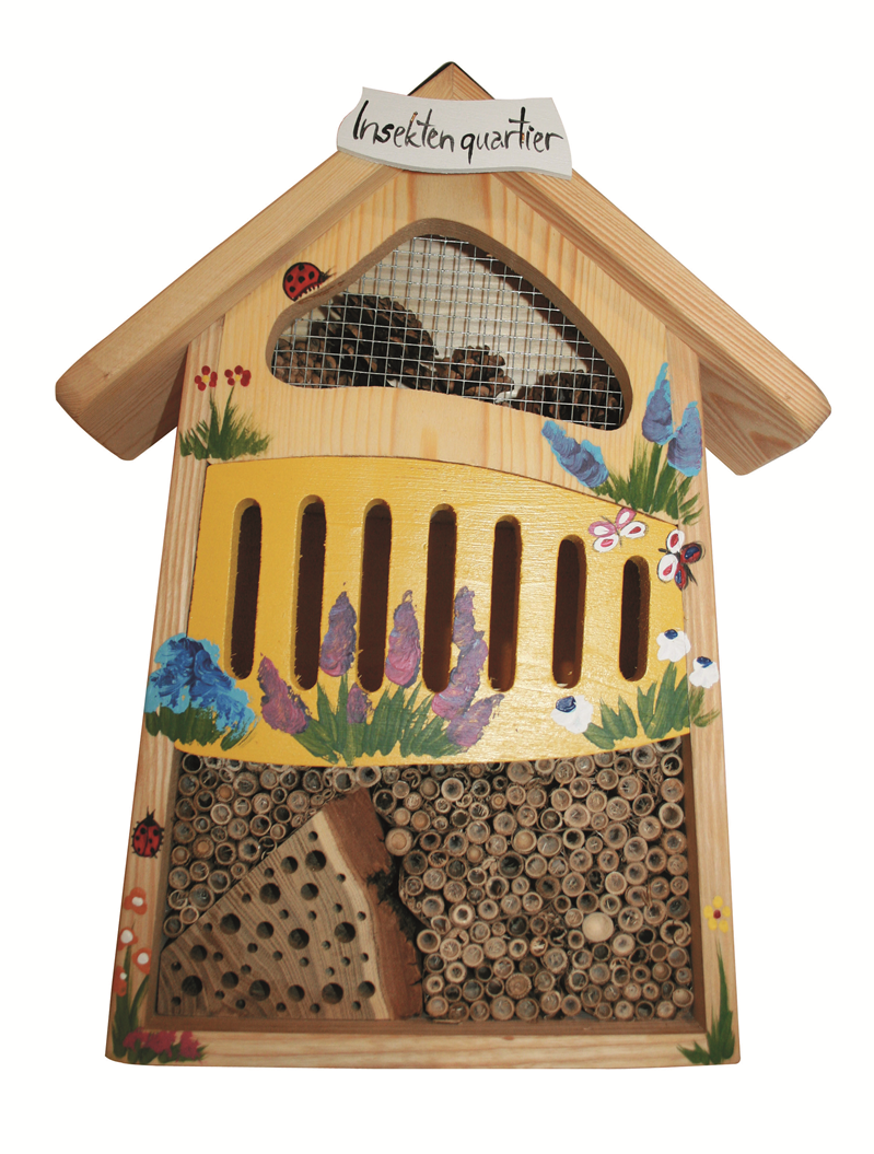 Insektendisplay Variante 3(Ohne Display)