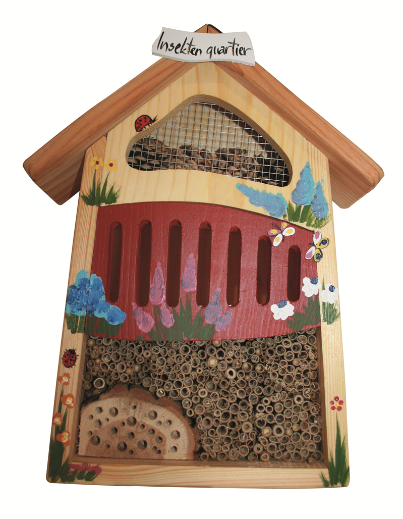 Insektendisplay Variante 3(Ohne Display)