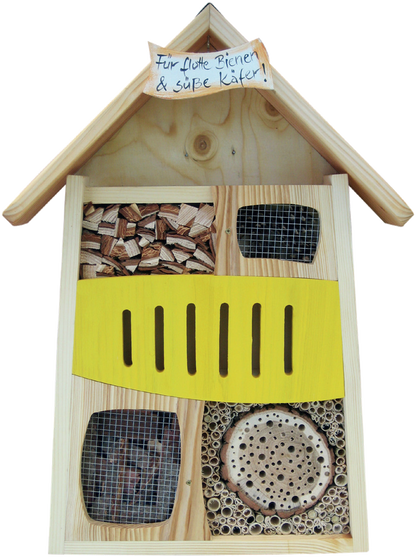 Insektendisplay Variante 3(Ohne Display)