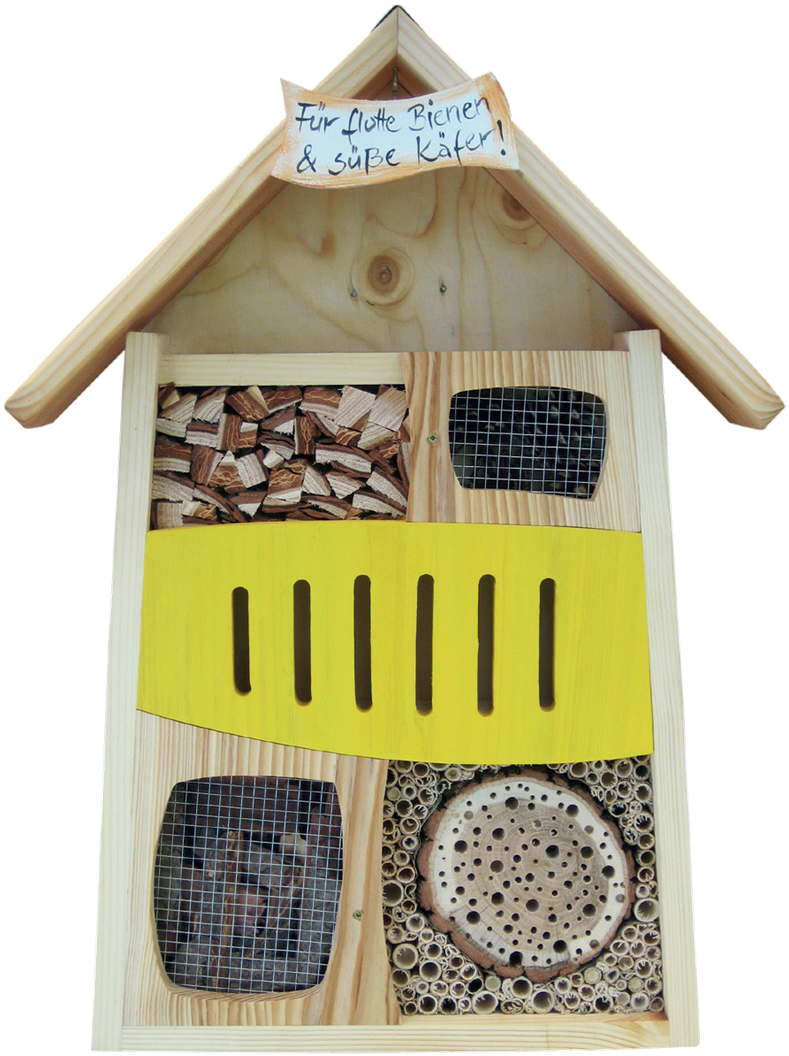 Frühlings- Angebot II Insektendisplay unbemalt