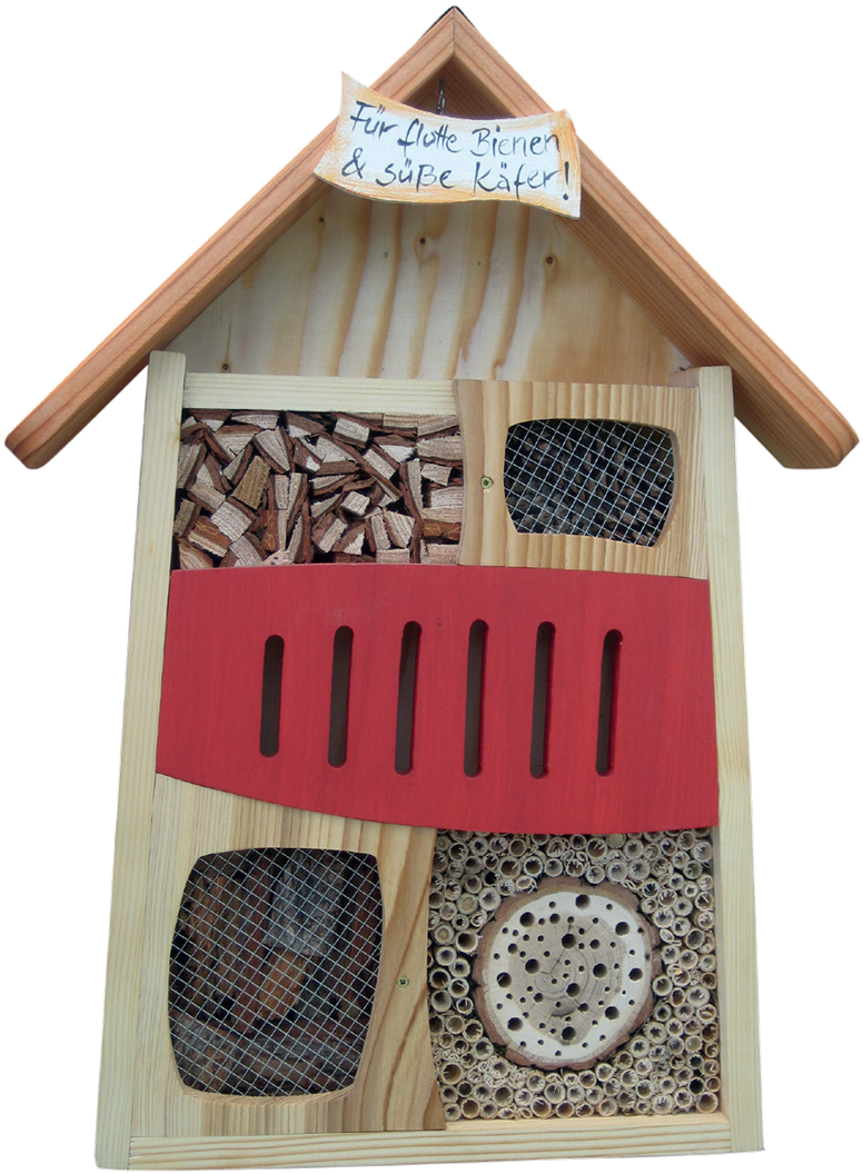 Insektendisplay Variante 3(Ohne Display)