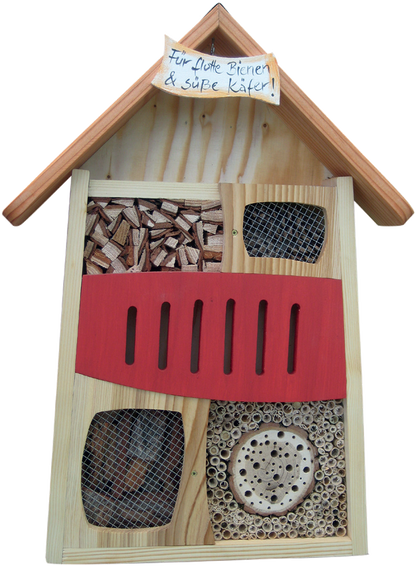 Insektendisplay Variante 3(Ohne Display)