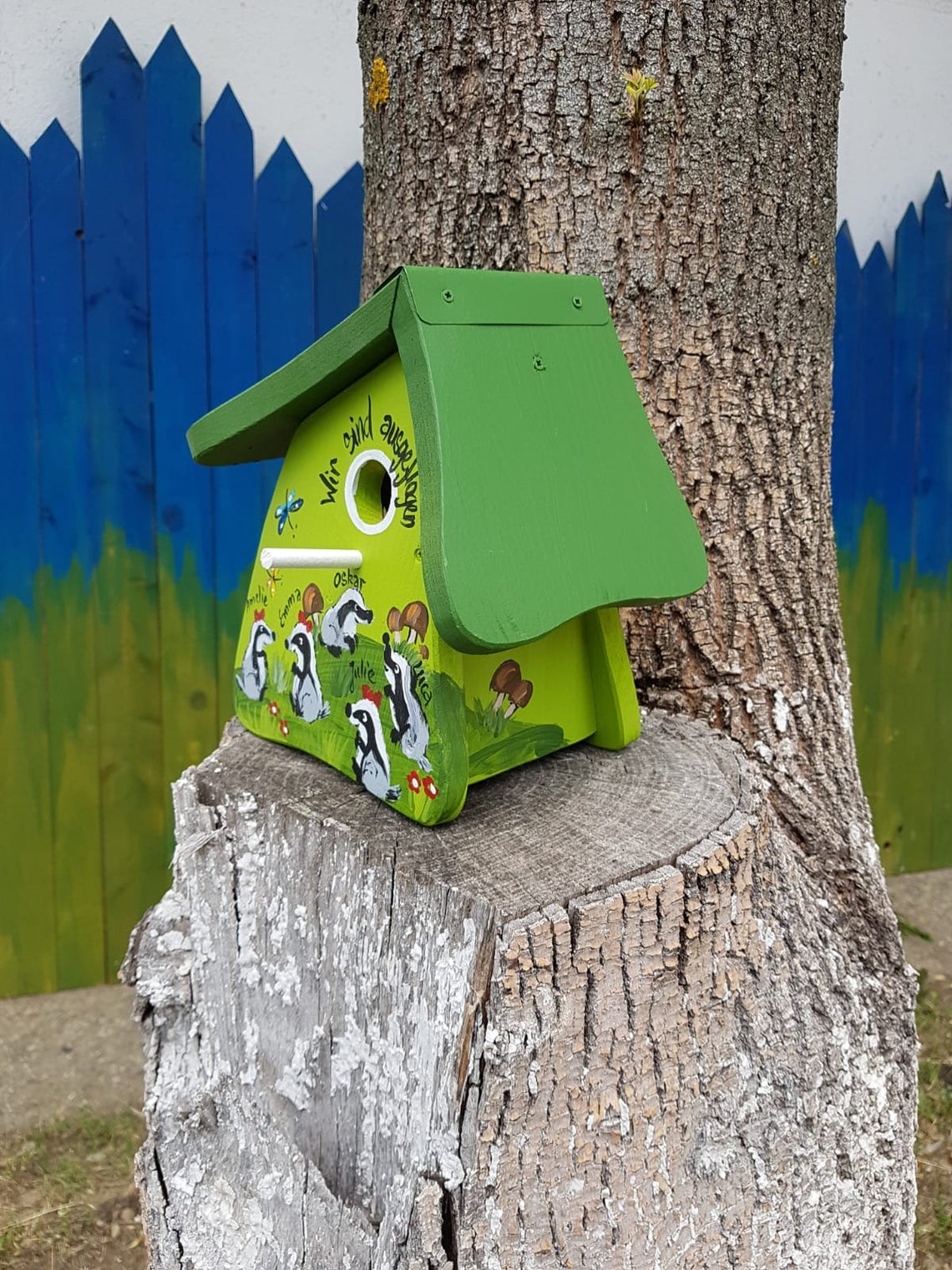 Nistkasten - Nistmini Dachse kiwigrün - personalisiert