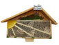 Hôtel des abeilles Hôtel des abeilles peint debout face au soleil